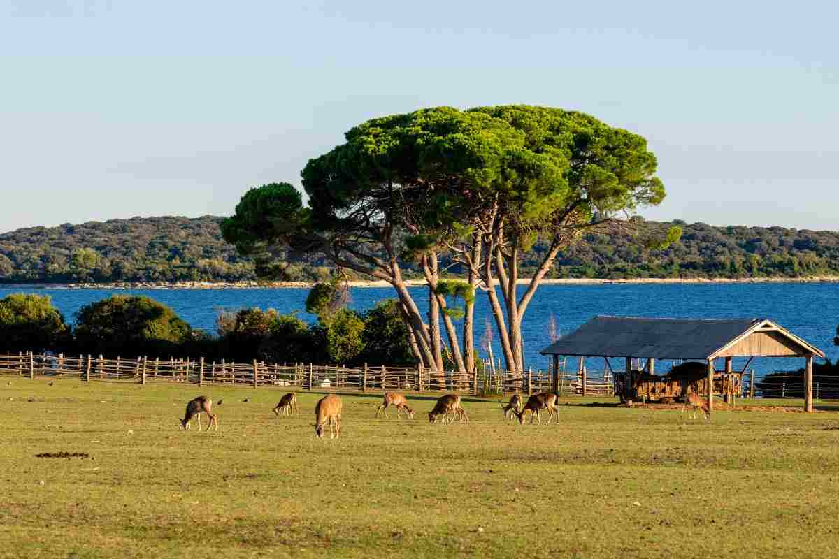 bioparco Roma