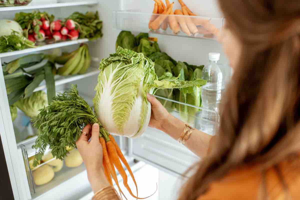 Frigo: come conservare il cibo a lungo