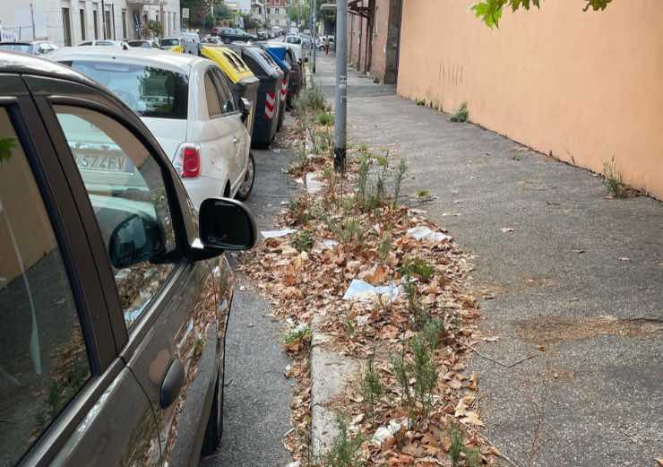 Sotto casa di Timperi a Roma è pieno di rifiuti: "Dove sono gli spazzini?"