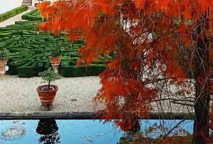 Foliage a Roma: i luoghi dove godersi l'autunno