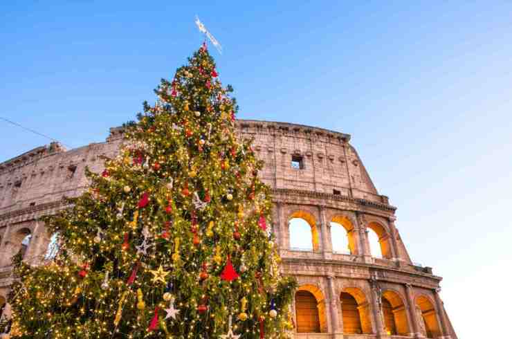 Roma, ecco dove si trova il nuovo albero di Natale