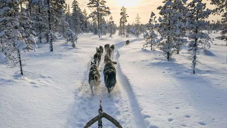 viaggio in Finlandia