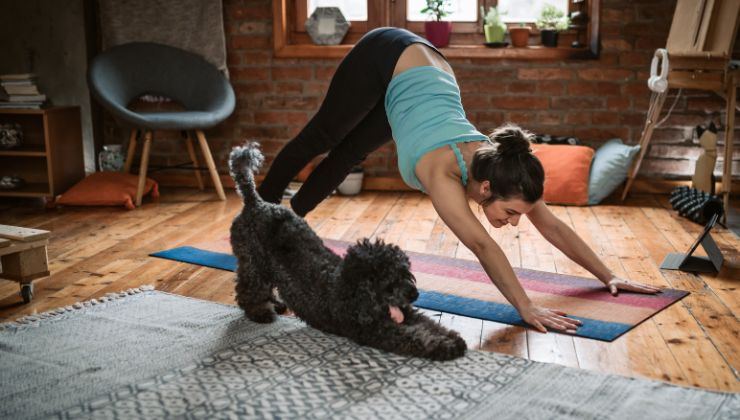 Come funzione il puppy yoga