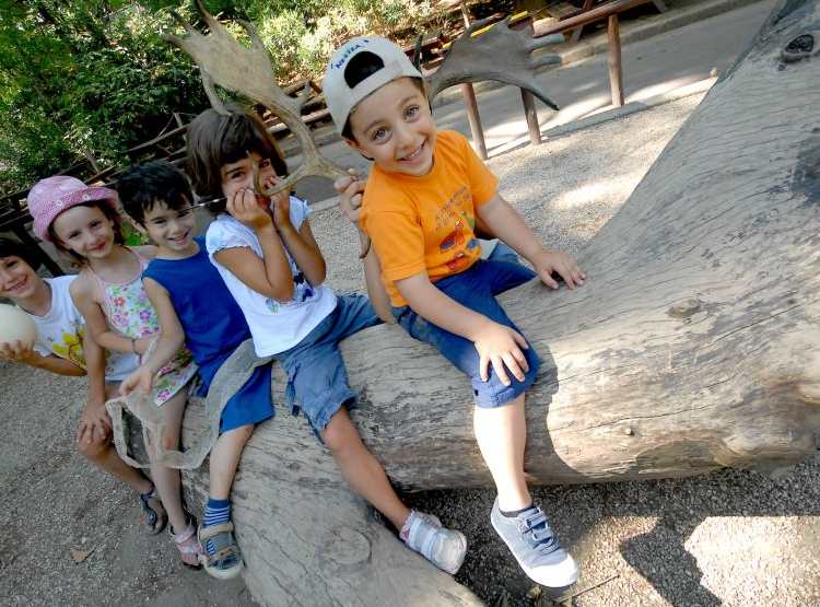 Attività ludico-didattiche nei parchi divertimento e al Bioparco per i piccoli