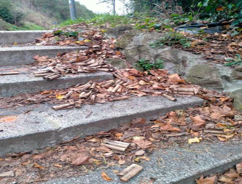 I residenti lamentano lo scoppio di petardi diffuso nel parco di Monte Mario, anche abusivi, lungo la prima rampa, che rimane nascosta di notte.