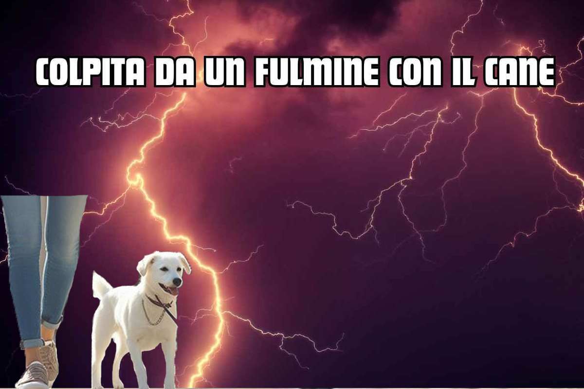 fulmine