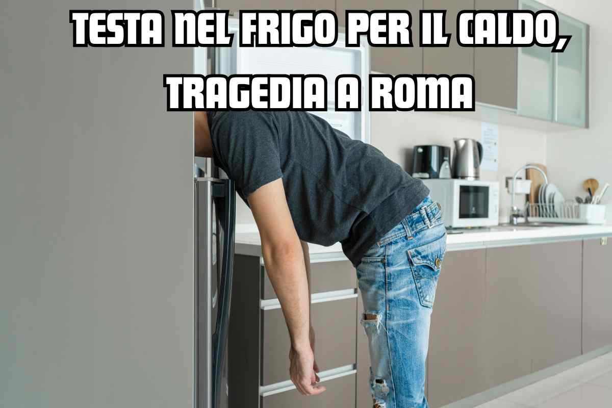 testa frigo