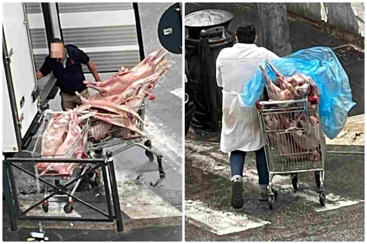 carne mercato equilino