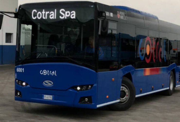 Bus Cotral