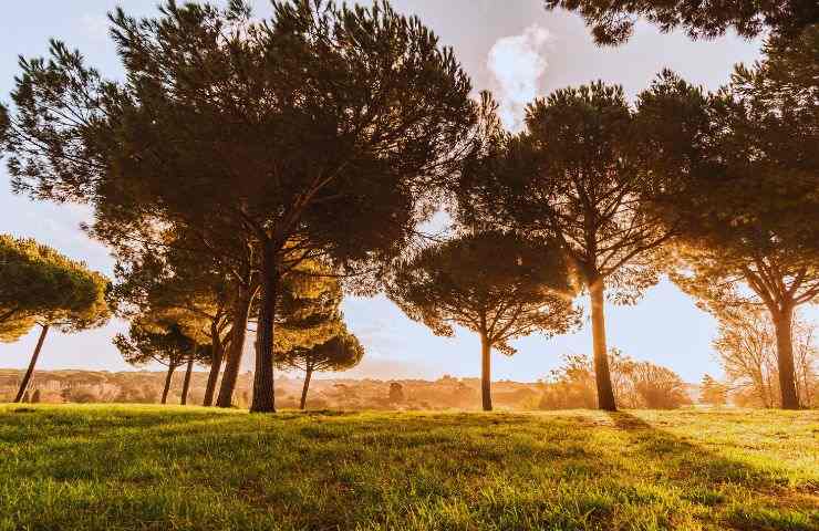 Villa Pamphili roma