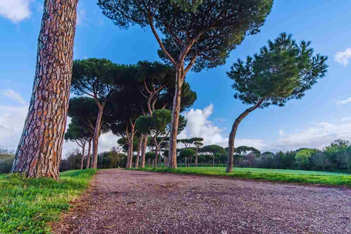 Villa Pamphili roma