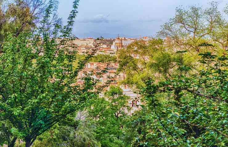 vista tra le foglie del gianicolo