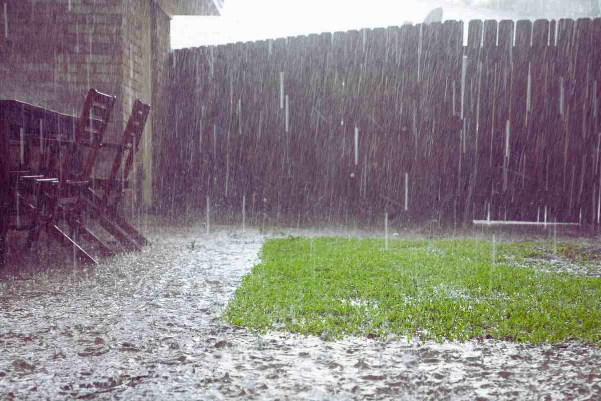 pioggia in un giardino